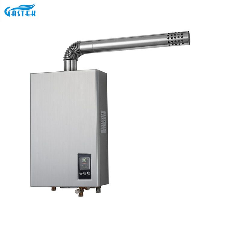 மின்சாரம் 220V 110V நிலையான வெப்பநிலை கட்டாய வகை சிறிய அளவு எரிவாயு சூடான நீர் ஹீட்டர்